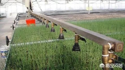 什么是设施农业？