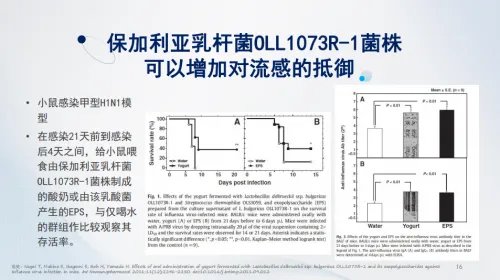 保加利亚乳杆菌OLL1073R-1:特殊时期助力健康,不惧生活挑战