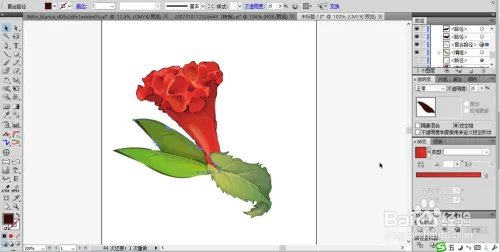 鸡冠花图片设计