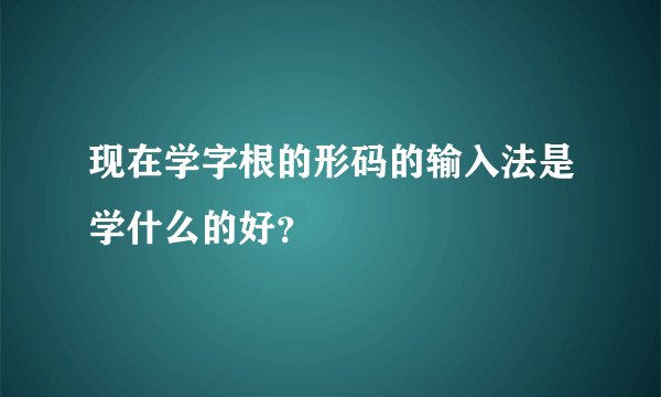 现在学字根的形码的输入法是学什么的好？