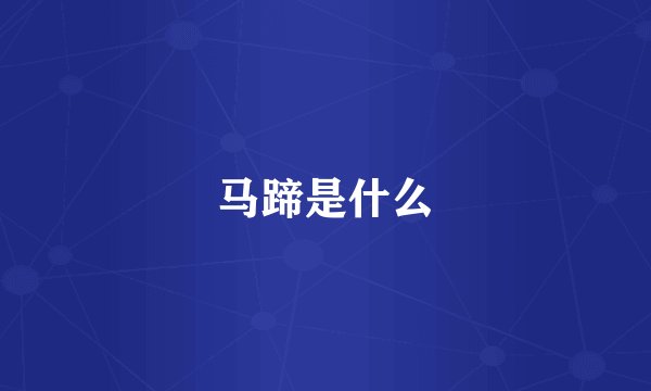 马蹄是什么