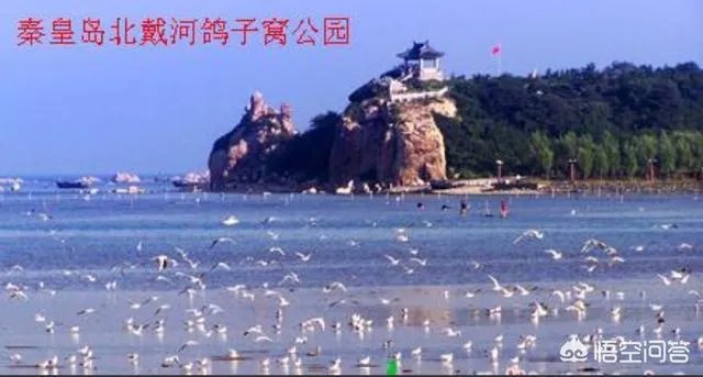 北戴河与秦皇岛是什么关系?