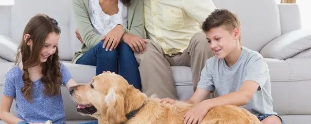 神兽回笼的心情说说发朋友圈