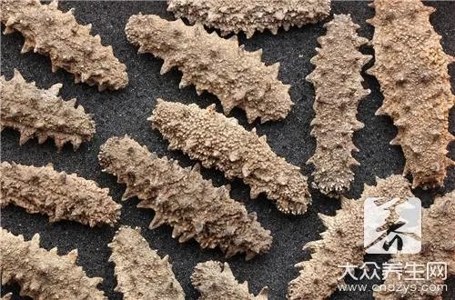 野生淡干海参怎么吃