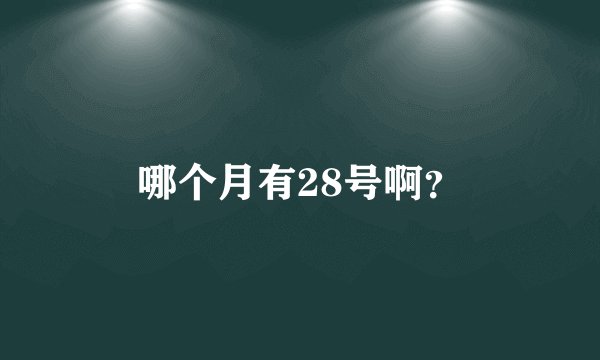 哪个月有28号啊？