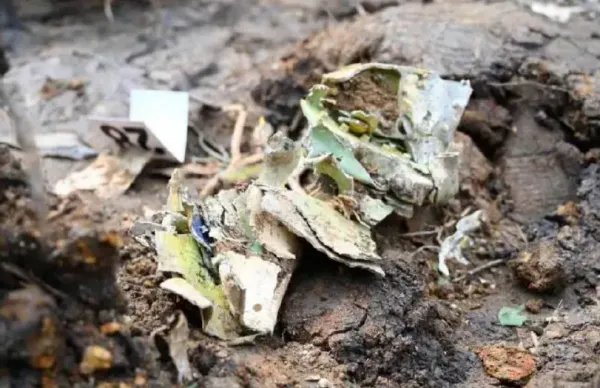 东航321空难事件,调查的怎么样了?