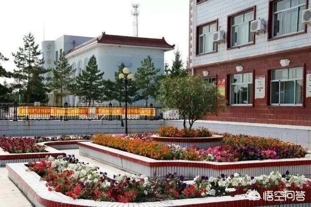 孩子马上上一年级了,送去好点封闭式学校住宿,还是去普通的不住宿学校好呢?为什么?