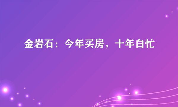 金岩石：今年买房，十年白忙