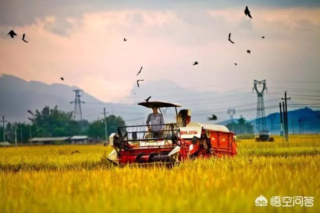 什么是设施农业？