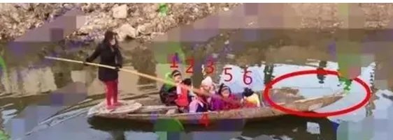 江苏小学生为何会