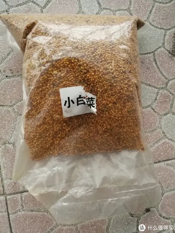 #原创新人#简简单单的阳台种菜，赶紧给自己开辟一个有机蔬菜园吧！