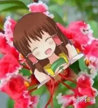 硬核是什么意思 硬核是什么梗