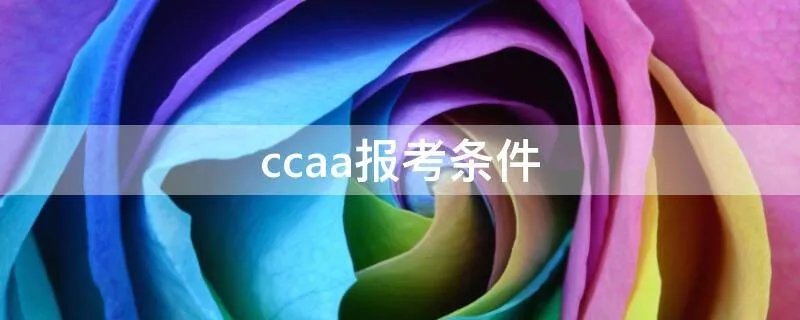 ccaa报考条件