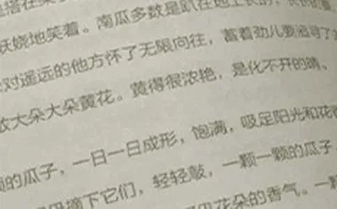 一年级上册语文《对韵歌》教案