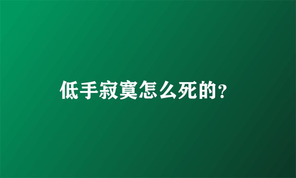 低手寂寞怎么死的?