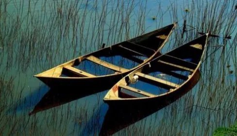 我的小木船起因经过结果