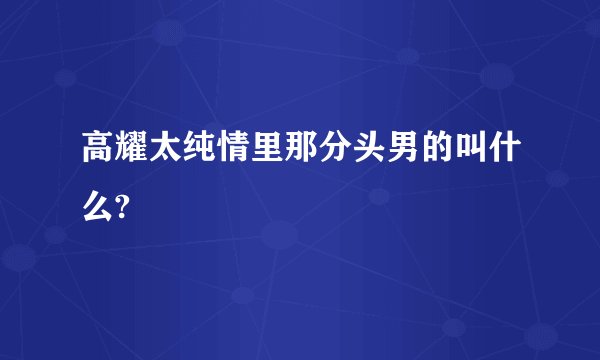 高耀太纯情里那分头男的叫什么?
