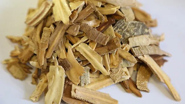 中药鳖甲的禁忌