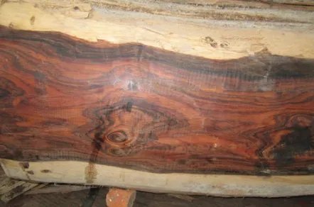 卢氏黑黄檀要多少钱？卢氏黑黄檀为什么这么贵？