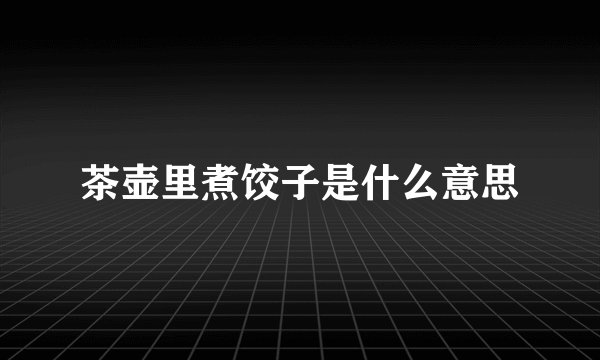 茶壶里煮饺子是什么意思