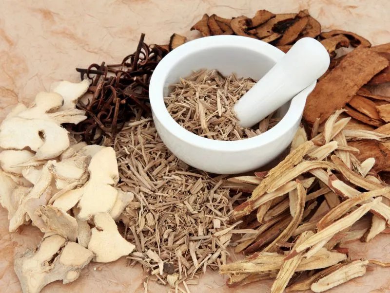 芍药的功效与作用