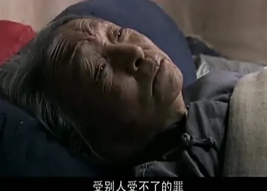 叶落长安豆瓣影评