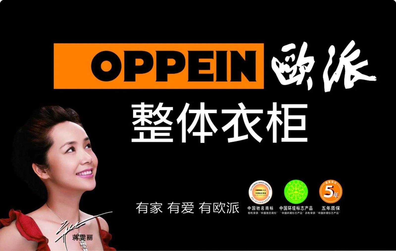 中国十大橱柜品牌排行榜 厨房橱柜哪个牌子好