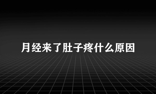 月经来了肚子疼什么原因