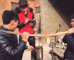 大家分享一下最搞笑的头像图片?