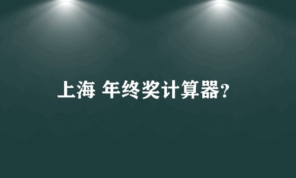 上海 年终奖计算器？