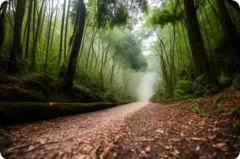 中国打越南是哪一年