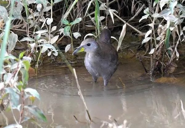 化工行业股票有哪些