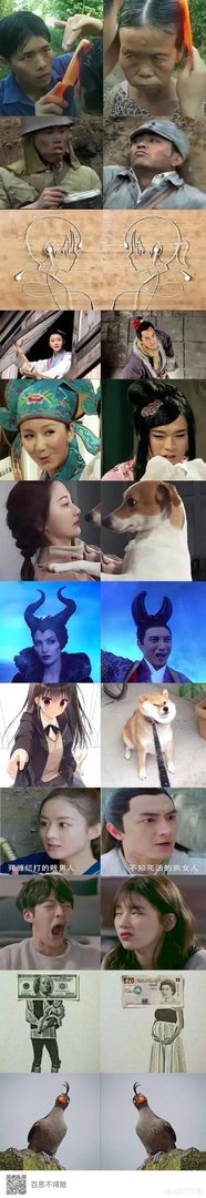 大家分享一下最搞笑的头像图片?