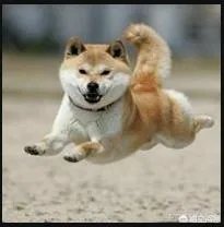 大家分享一下最搞笑的头像图片?