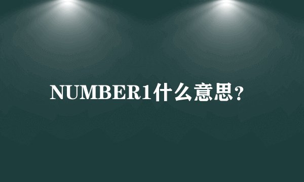 NUMBER1什么意思？