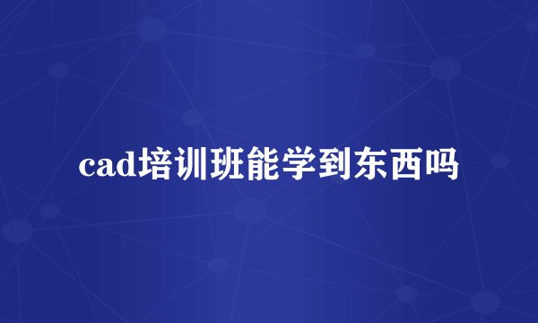 cad培训班能学到东西吗
