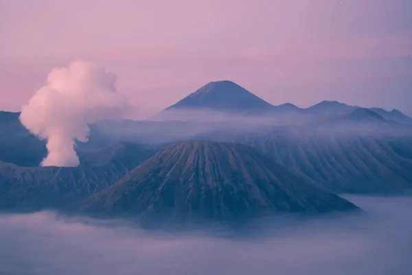 5月17日是什么星座 5月17日出生是什么星座