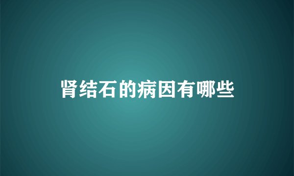 肾结石的病因有哪些