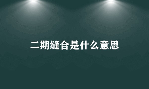 二期缝合是什么意思