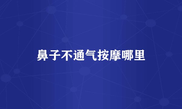 鼻子不通气按摩哪里