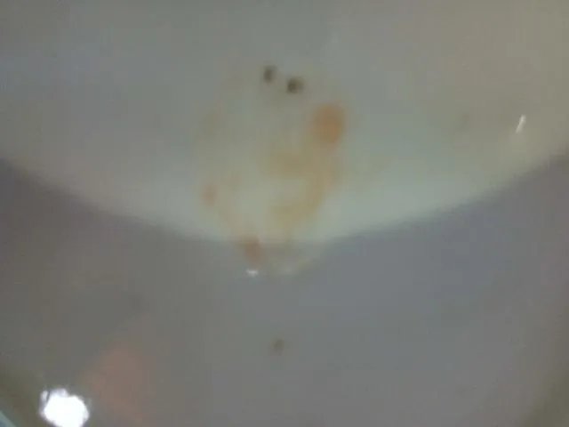 湖北省麻城市你最爱去的三个地方是哪里？