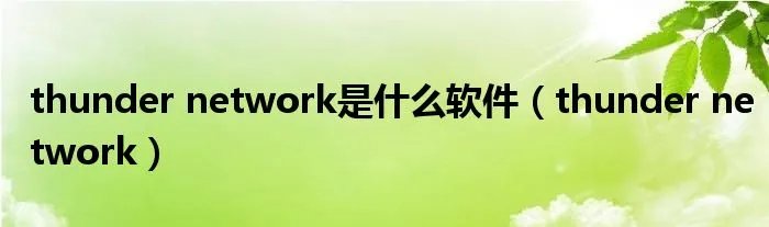 thunder network是什么软件（thunder network）