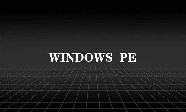 WINDOWS  PE
