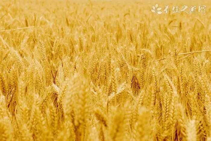 小孩肚子痛是怎么回事