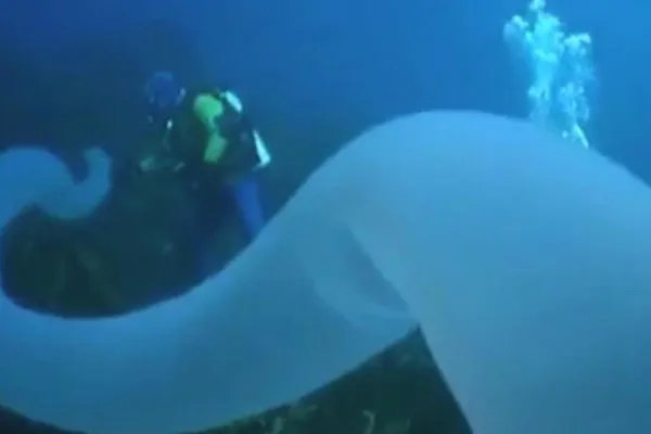 海底里的危险的“死亡冰柱”，究竟是怎么产生的？