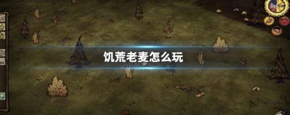 饥荒老麦怎么玩
