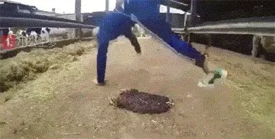 大家分享一下最搞笑的头像图片?