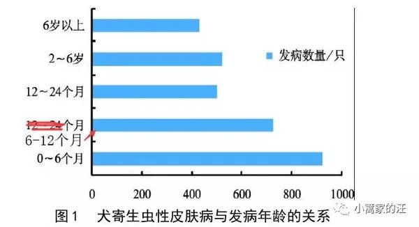狗螨虫性皮肤病最全指南