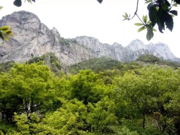 雁荡山好玩吗？