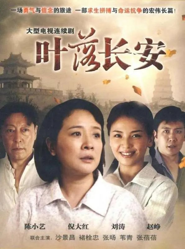 叶落长安豆瓣影评